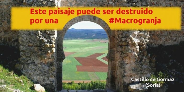 Asden: El paisaje del Castillo de Gormaz se verá deteriorado por una macrogranja porcina