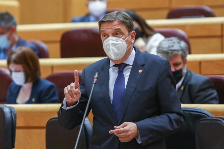 Planas reitera que en la futura PAC el olivar tradicional contará con un programa específico