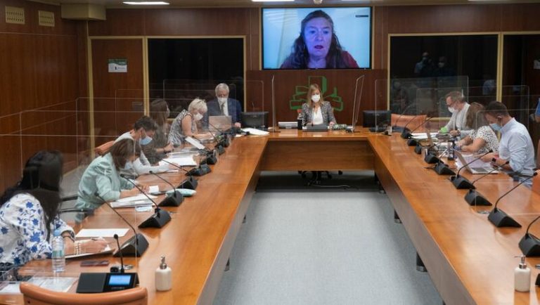 Euskadi respeta al TSJ, pero cuestiona que en la situación actual sea adecuado elevar los aforos al 60%
