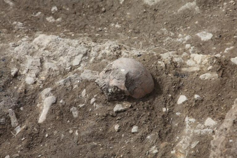 Hallan restos de inhumaciones en las nuevas excavaciones de Portell de Morella
