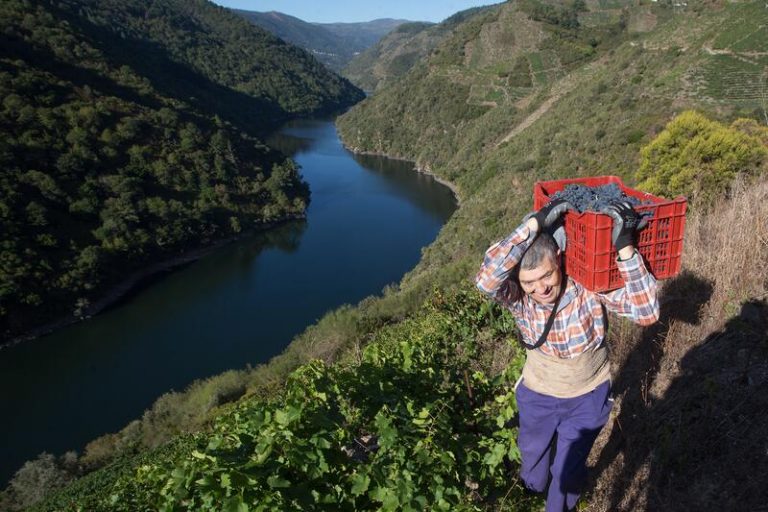Aprobada la declaración de la Ribeira Sacra, Serras do Oribio y Courel como Reserva de la Biosfera