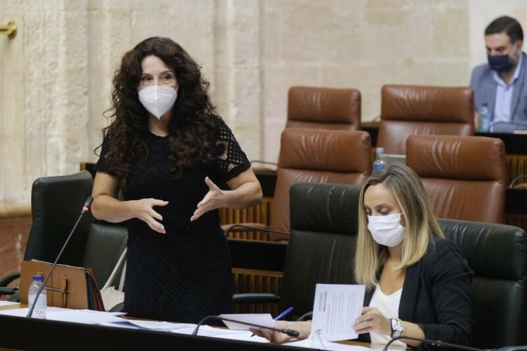 Gobierno andaluz pide unidad contra agresiones Lgtbi