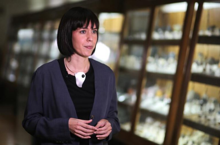 Morant: No hay respuesta científica a la duración que tendrá la erupción volcánica en La Palma