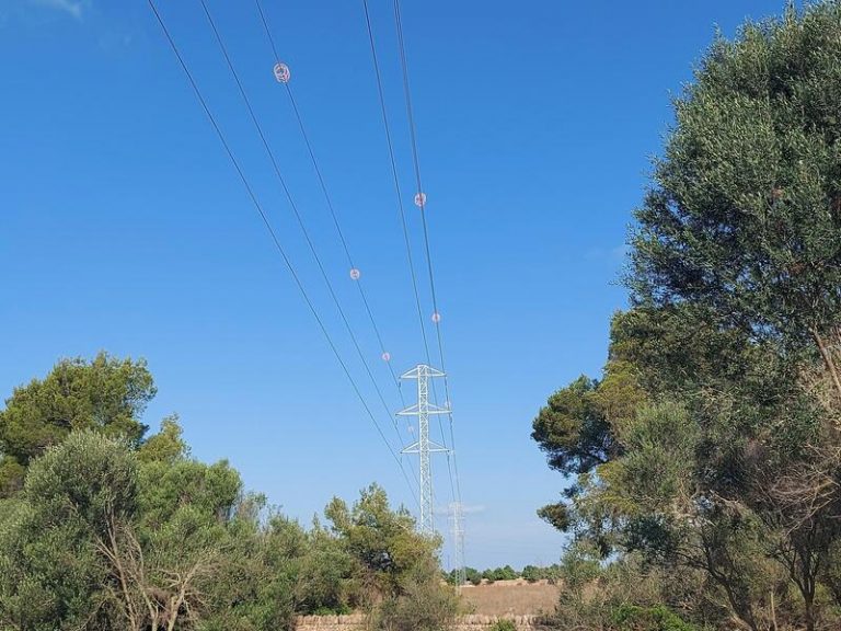 Endesa recicla la mayoría de residuos generados en las tareas de mantenimiento de la red