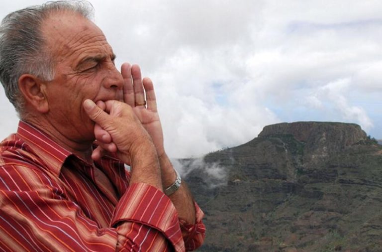 Los lenguajes silbados humanos, modelo para entender a los delfines