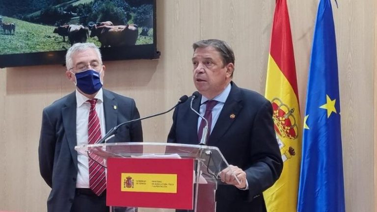 Agricultura abrirá la consulta pública de la norma de ordenación de las granjas de ganado vacuno