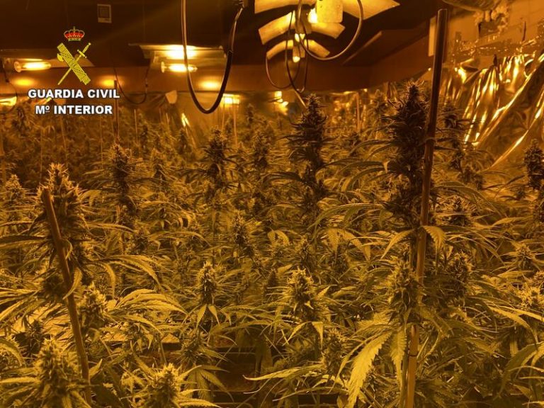 Podemos anuncia una ley para despenalizar el uso del cannabis