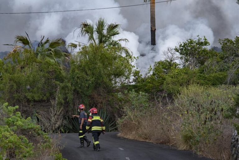 CSIF, CC.OO. y UGT reclaman al Congreso que agilice el Estatuto del Bombero Forestal