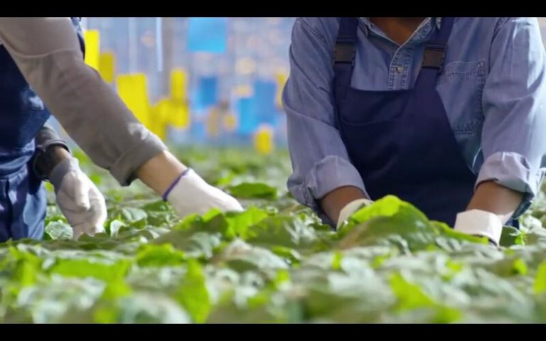 PSOE y Podemos pactan prohibir la venta a pérdidas en la nueva Ley de cadena alimentaria