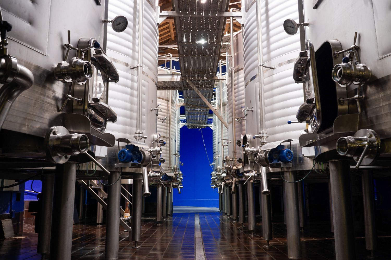 Aceite NOC, un picual ecológico con toda la singularidad de los Montes de Toledo 3 Vino de calidad