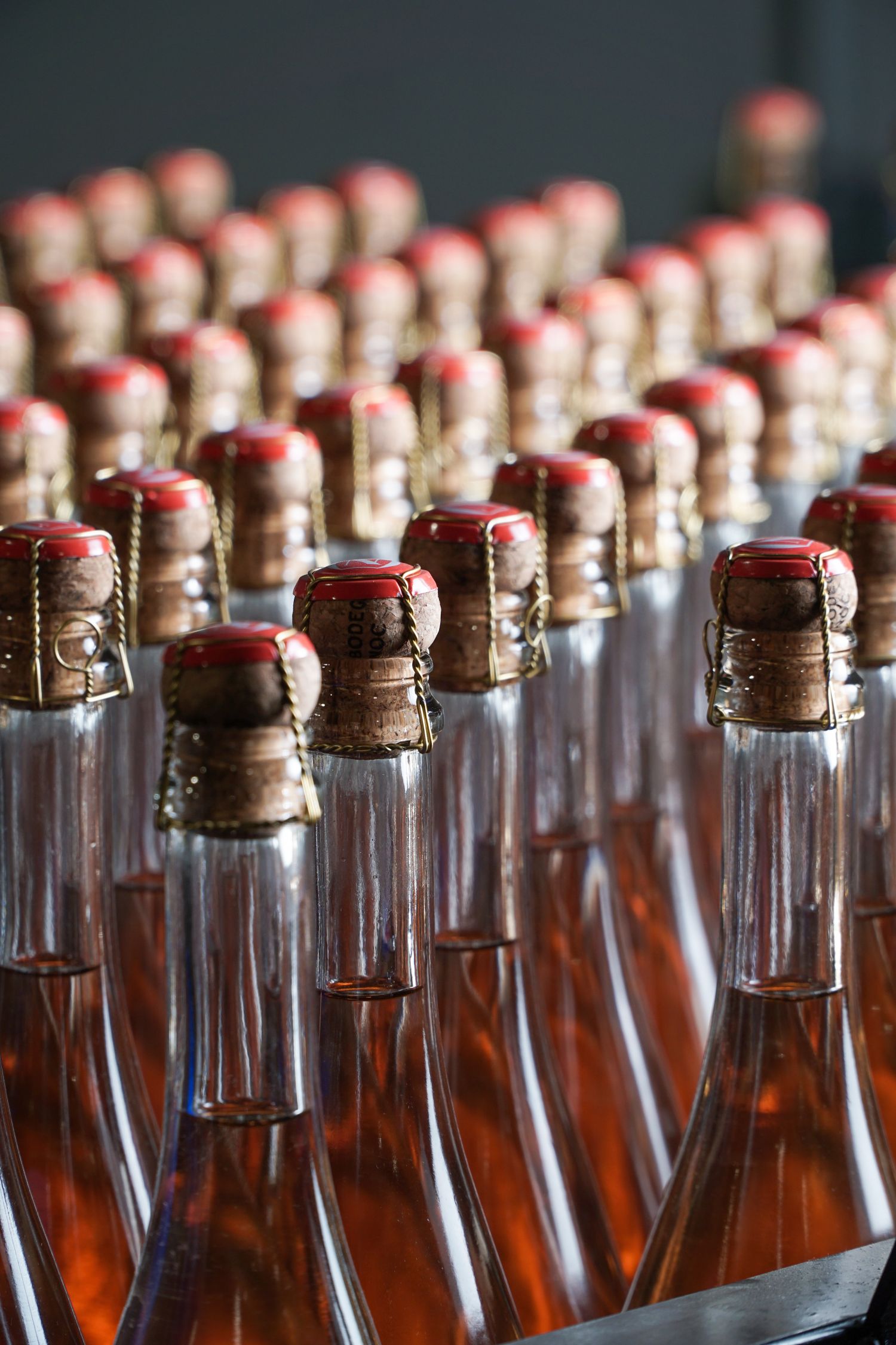 Aceite NOC, un picual ecológico con toda la singularidad de los Montes de Toledo 5 Vino de calidad