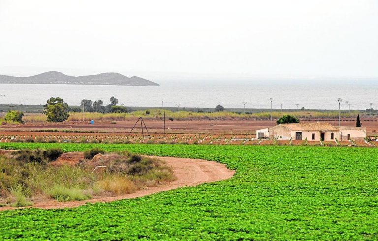 Acuamed vendió agua desalada a 22 fincas sancionadas por regadío ilegal en el Mar Menor