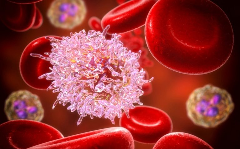 Descubren que un grupo de glóbulos blancos pueden ayudar a destruir tumores