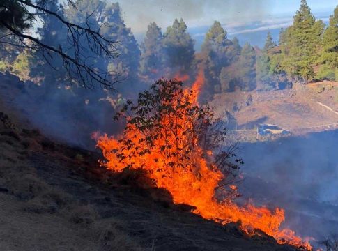 El Gobierno declara la alerta por riesgo de incendios en Gran Canaria