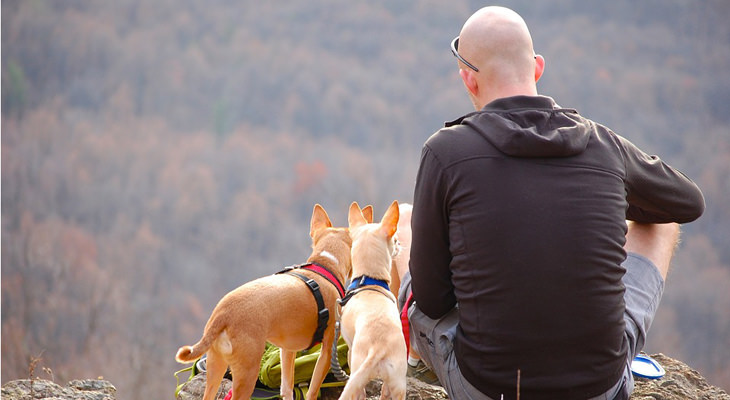 Estas son las ventajas de ser calvo
