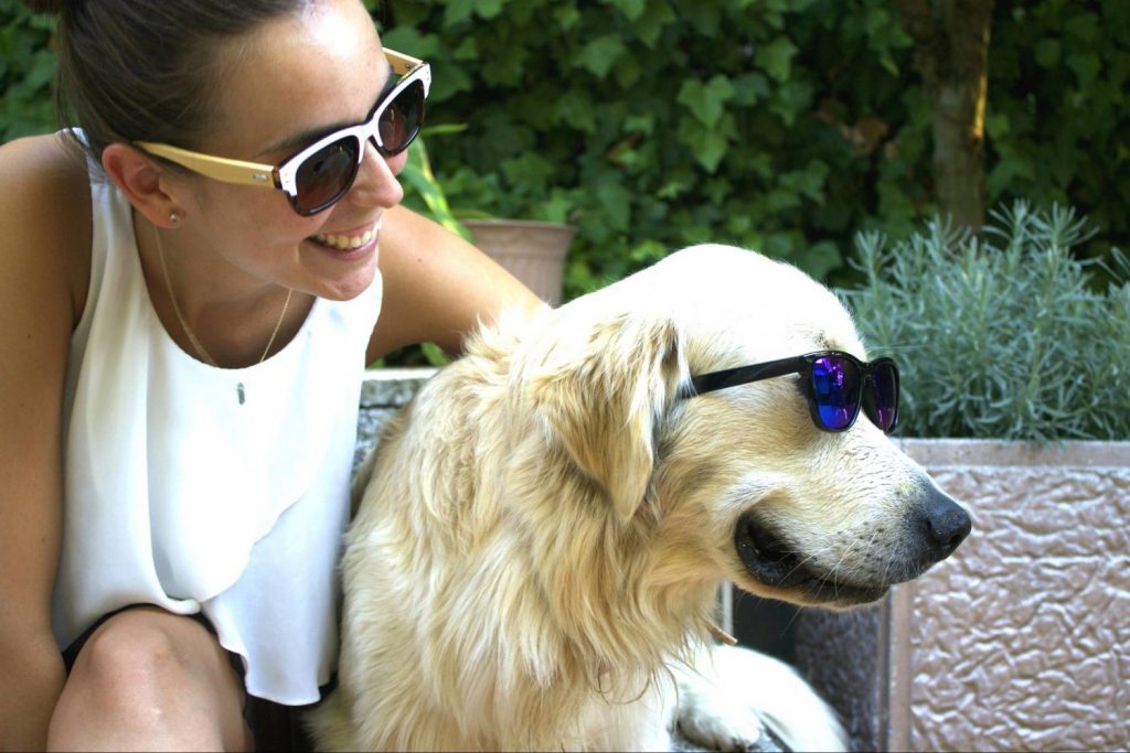 Las cosas que nunca deberias hacer si tienes un perro 4