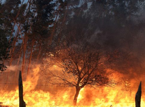 Mañueco anuncia 25 millones para recuperación de la zona afectada por el incendio de Navalacruz
