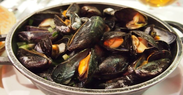 Mejillones: los errores básicos que cometes al elegirlos y cocinarlos