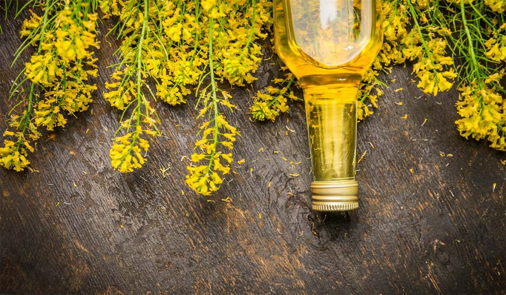 Mucho aceite de colza no es saludable 