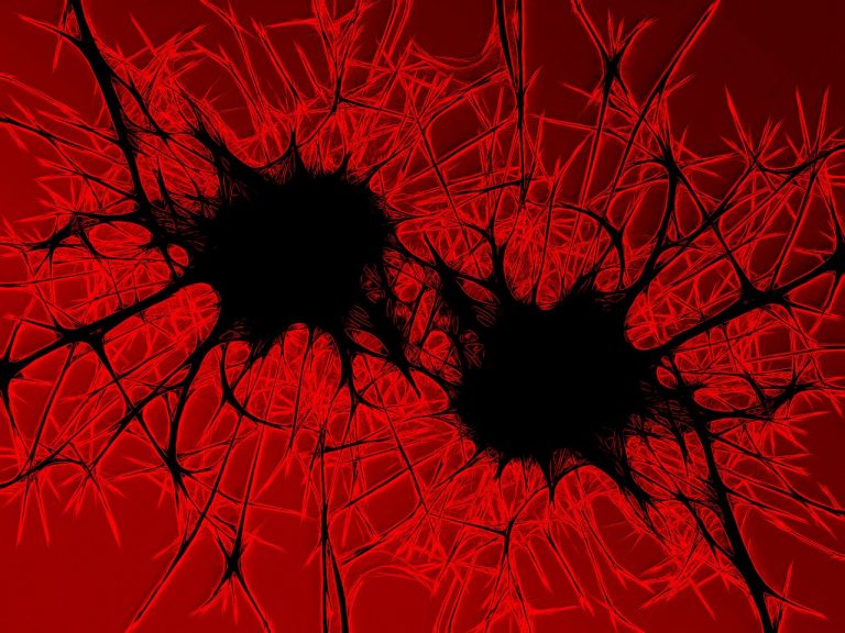 Qué es la candidiasis