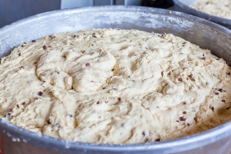 Qué es la levadura en polvo