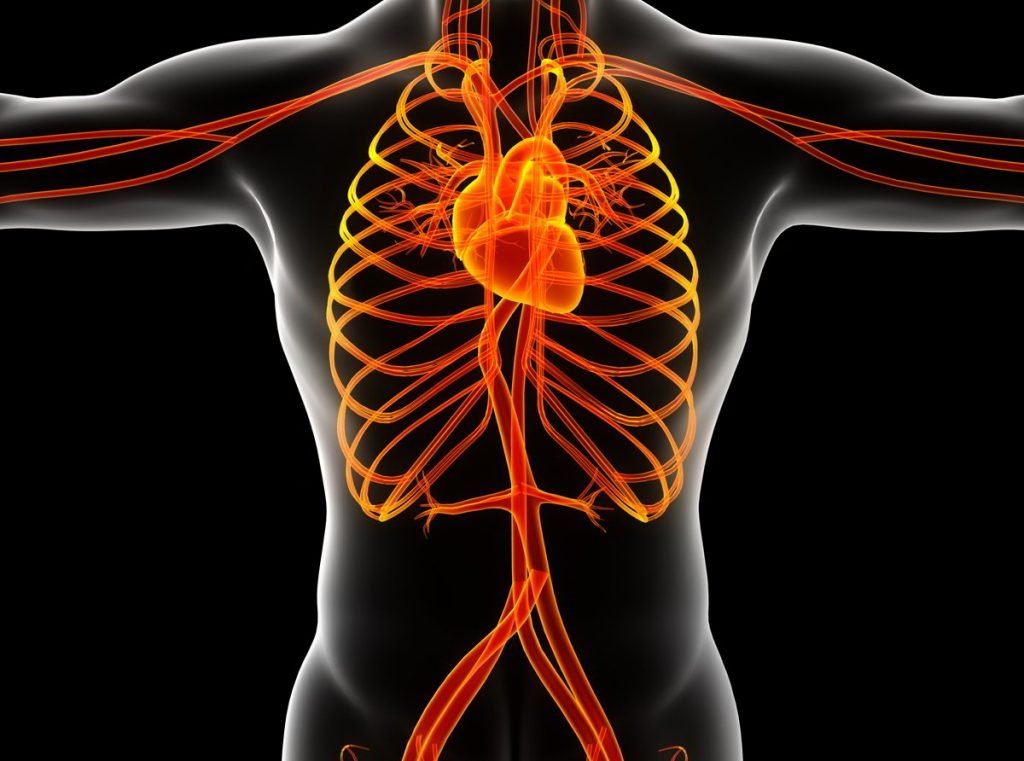 ¿Cuáles son los síntomas de una aneurisma?