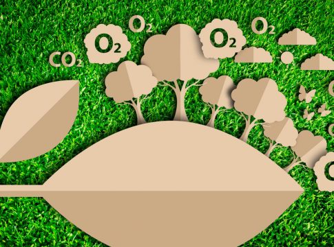 Qué es una ECA 1 Qué es una ECA