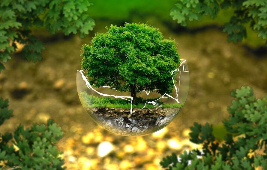 Qué es una ECA 169 ¿Cómo se puede determinar un límite máximo permisible?