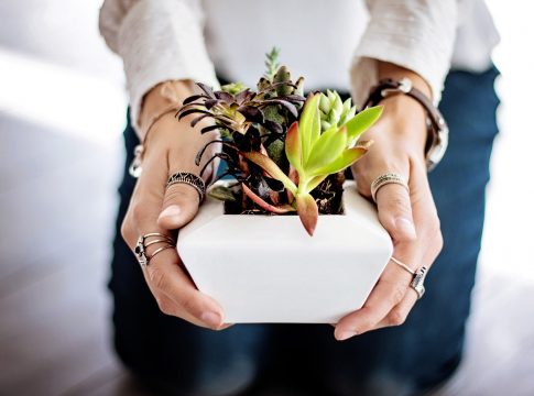 Qué es una meseta 1 Qué es una meseta