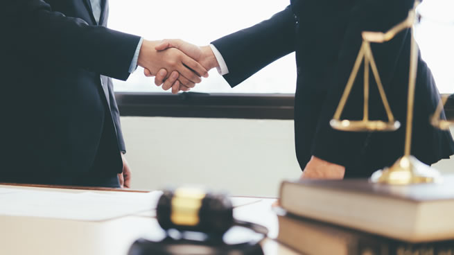 Qué es una persona jurídica 263 ¿Cómo nace una persona jurídica?