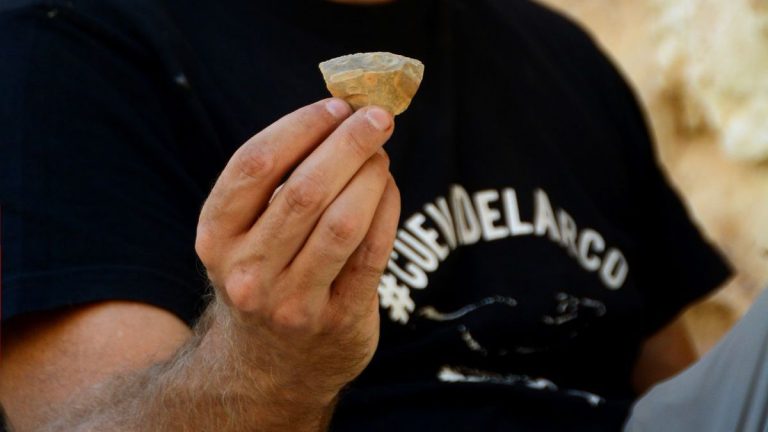 Las excavaciones en la Cueva del Arco (Murcia) descubren restos de una carnicería