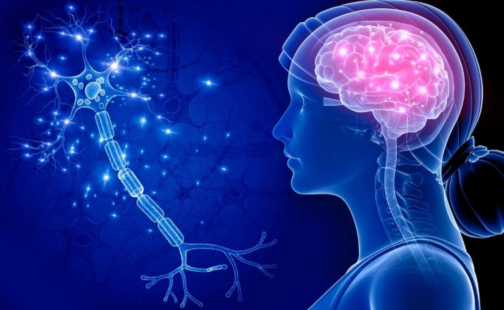 Te puedes dañar los nervios si comes muchas nueces