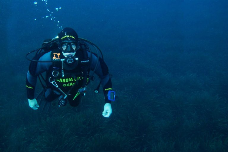 Academia Neoestudio permite encontrar el temario Guardia Civil actualizado 2021