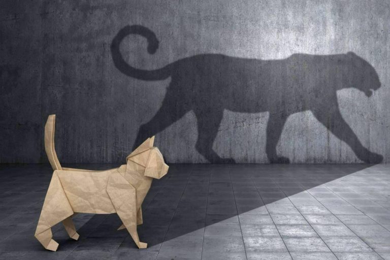 ejecución de la transformación de empresa