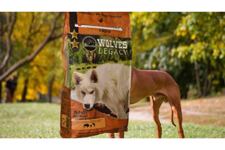 las mejores opiniones del pienso para perros