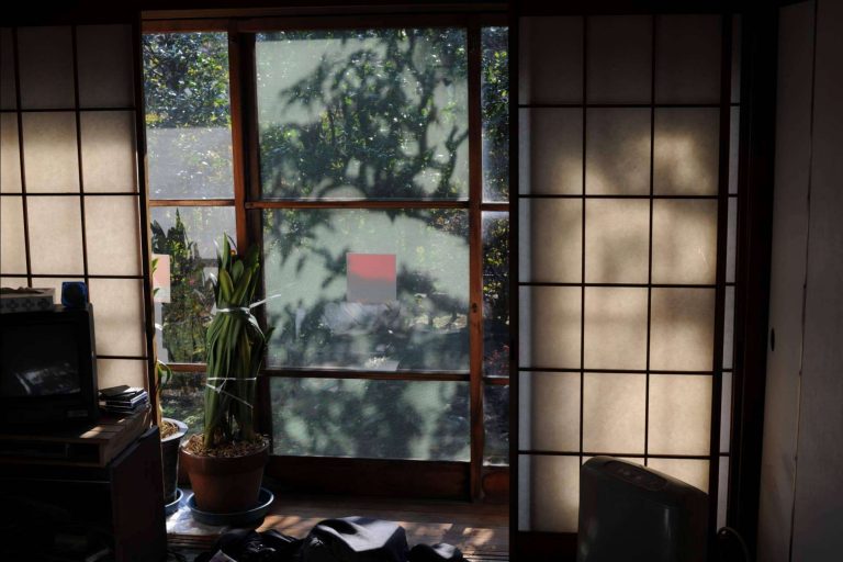 Losma Studio considera que la ventana de madera es una de las mejores alternativas ecosostenibles en ventanas y balcones