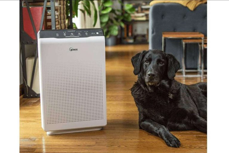¿Cuáles son las ventajas de los purificadores WINIX?