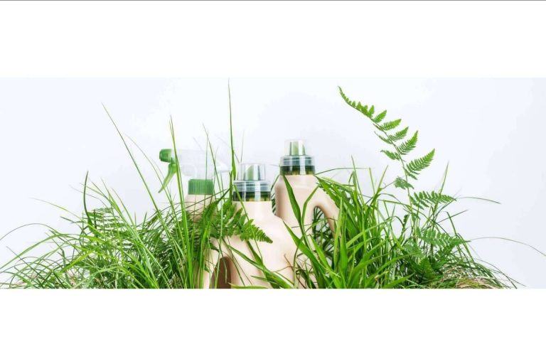 Apostar por el medioambiente con una franquicia Ecocleans