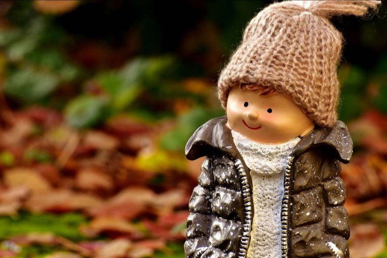 ¿Cómo luchar contra el cambio climático a través de los centros escolares con Ecoescuela?