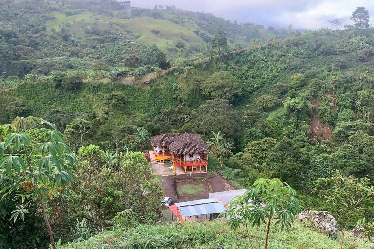 El café de especialidad cultivado en Colombia con raíces alicantinas: La Guashira