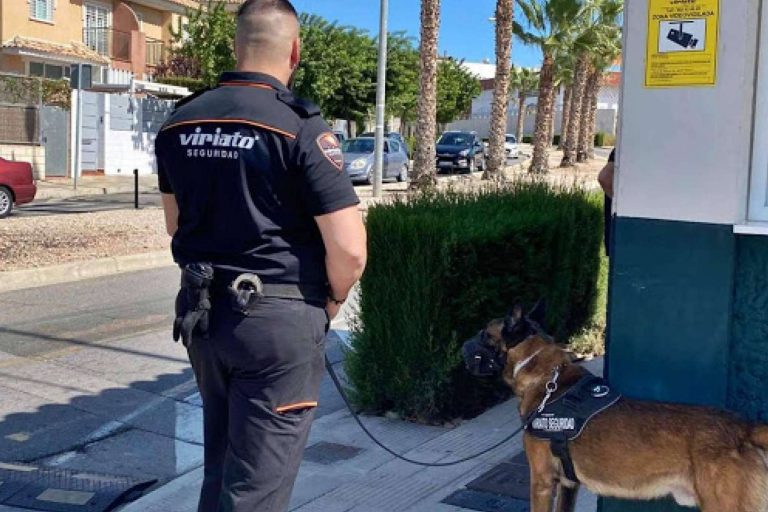 hogares y empresas protegidos con alarmas y cámaras de última tecnología