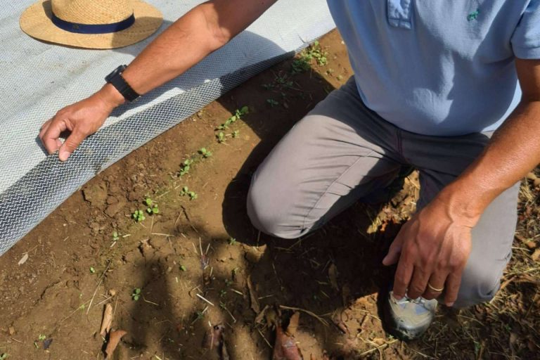 ¿Qué es el tejido cubresuelos Agrisoil?: Agralia