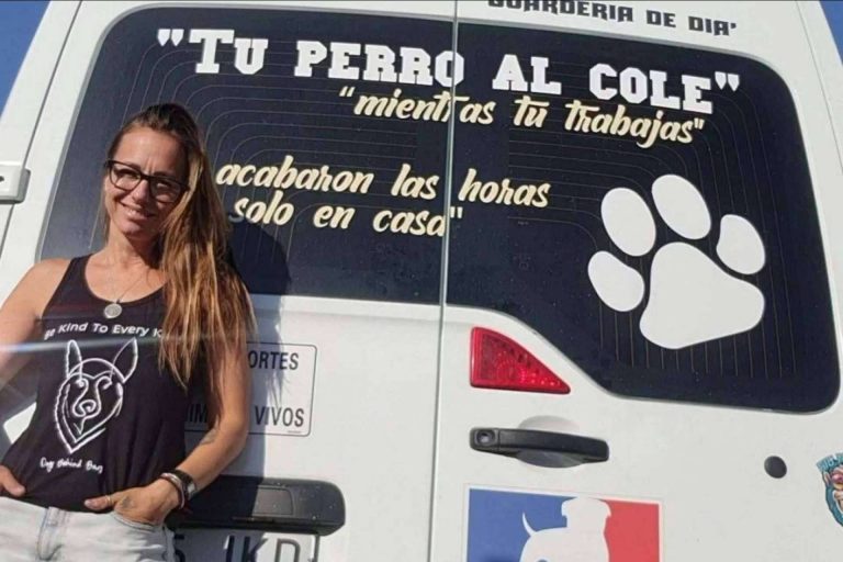 Los servicios que ofrece la guardería de día de perros, PERROBUENO
