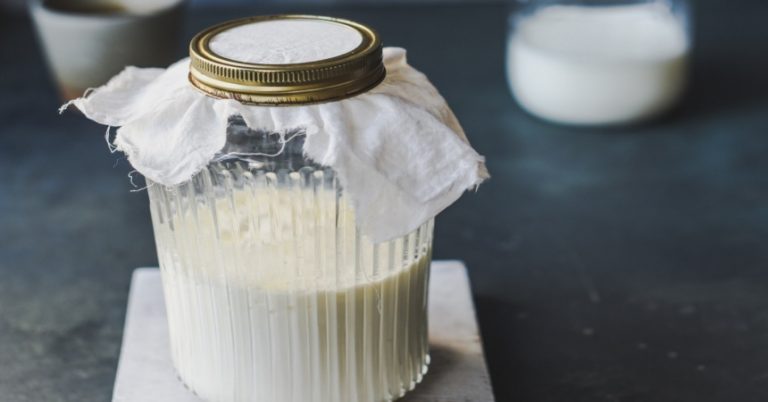 Kéfir: así debes congelar y descongelar el yogur milagroso