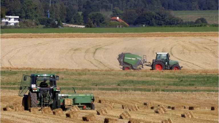 VayaVaca, el Ebay del ganado, saca a subasta online maquinaria agrícola