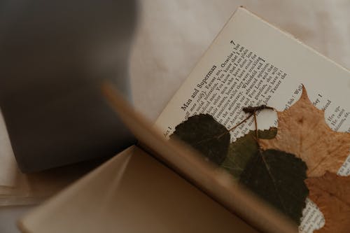 ¿Cómo es el proceso si deseo secar una flor?