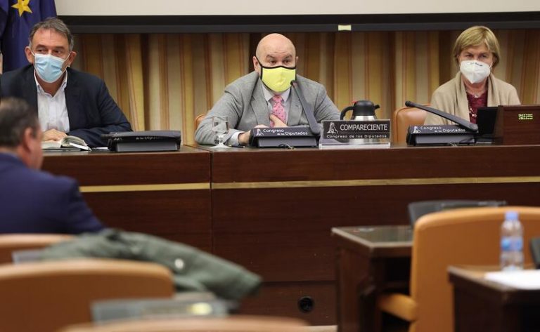 CERMI, dolido por la postura de PP y Vox en la modificación de 'disminuido' en la Constitución