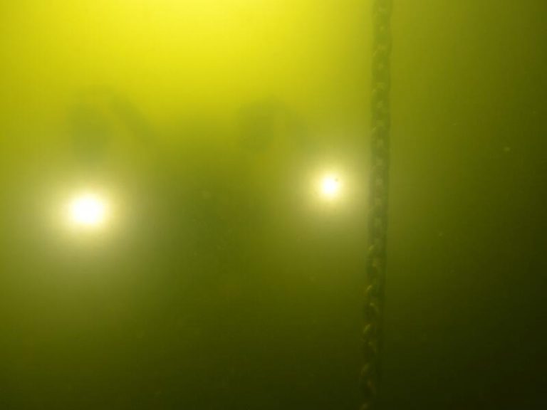 ANSE y WWF comparan el estado actual del Mar Menor con imágenes de 2016