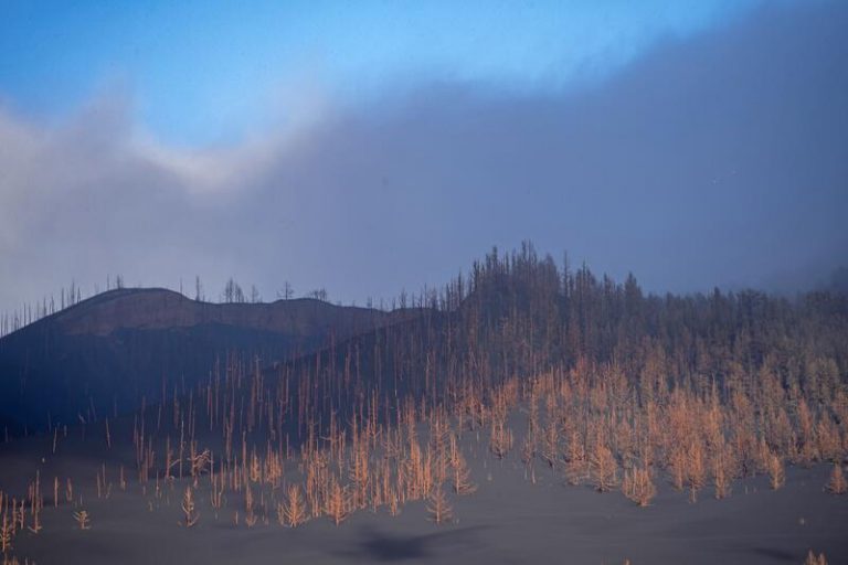 Binter suspende vuelos en La Palma por la nube de ceniza