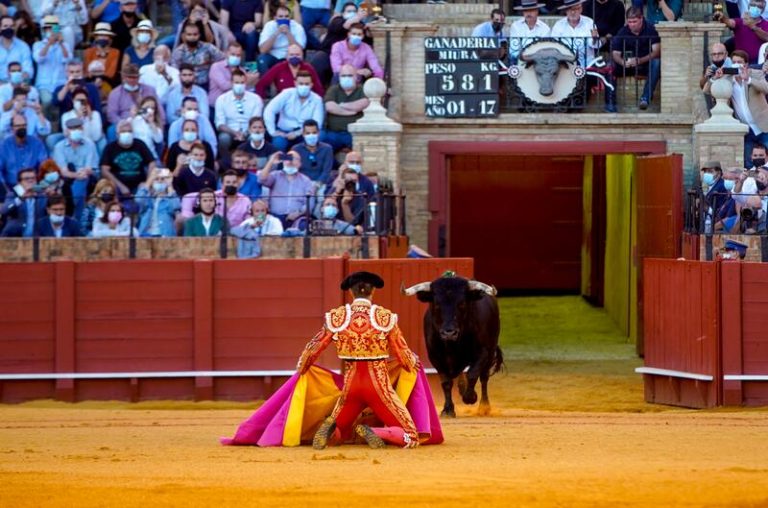 PP y Vox, contrarios a la exclusión de los toros en el bono cultural joven, auguran el fracaso de la medida